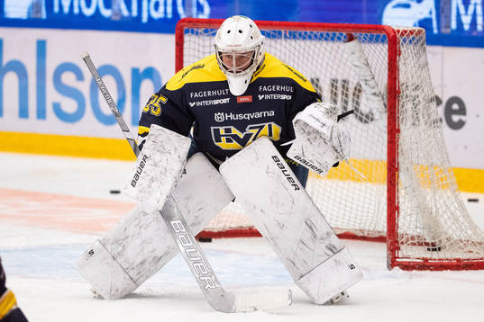 s målvakt Anna Amholt