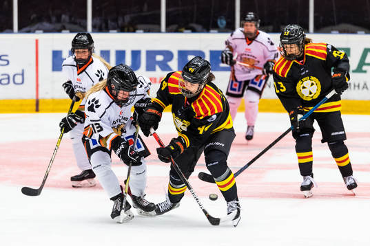 Bläddra bland fler bilder av Ishockey, SDHL, Brynäs - Göteborg