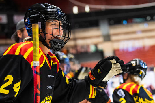 Brynäs Erika Grahm jublar med Maja Nylén-Persson (till