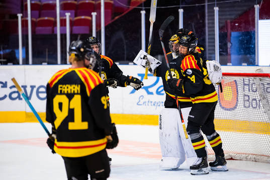 Brynäs spelare jublar