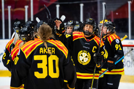 Brynäs spelare jublar