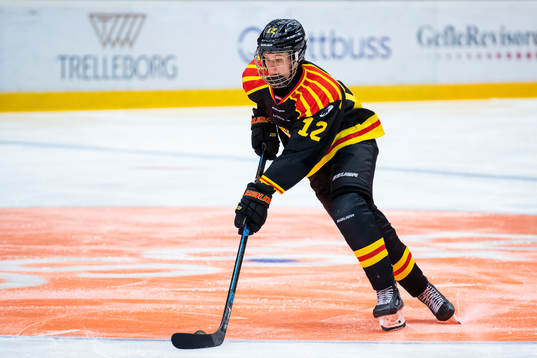 Brynäs Fanny Brolin