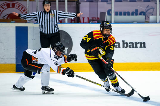Brynäs Erika Grahm