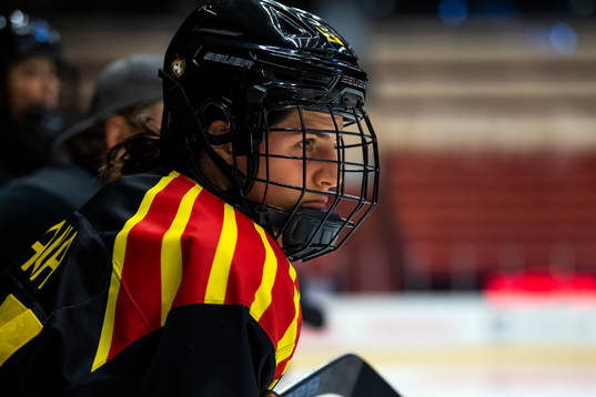 Brynäs Michela Cava