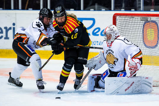 Brynäs Denisa Krizova