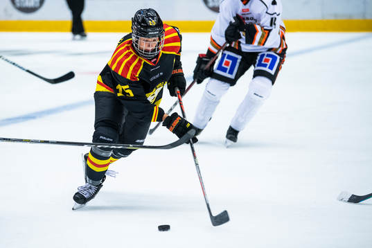 Brynäs Lara Stalder
