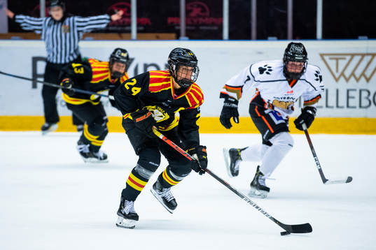 Brynäs Erika Grahm