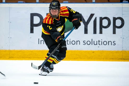 Brynäs Maja Nylén-Persson