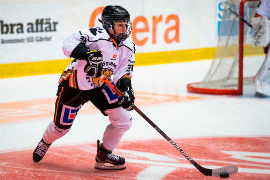 Göteborgs Anna Borgfeldt