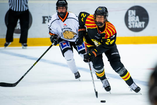 Brynäs Erika Grahm
