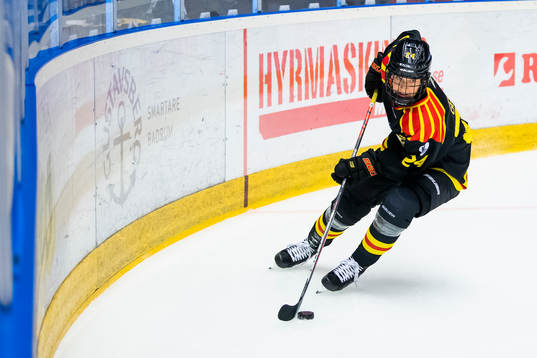 Brynäs Erika Grahm