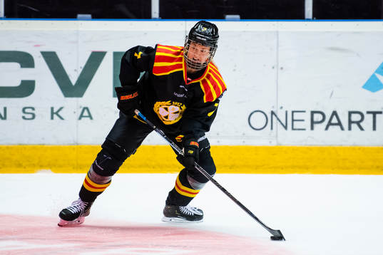 Brynäs Johanna Olofsson