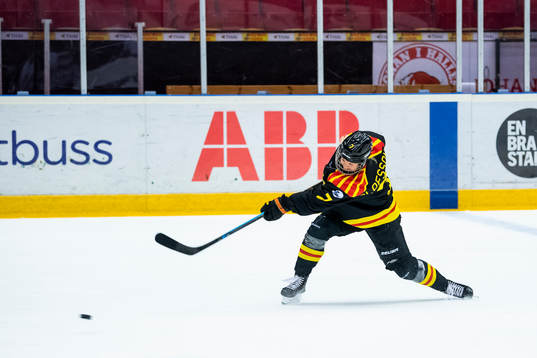 Brynäs Johanna Olofsson