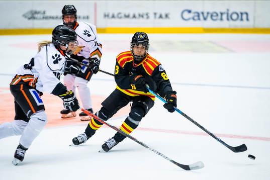Brynäs Mariam El-Mahmadi