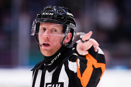 Domare Mikael Holm