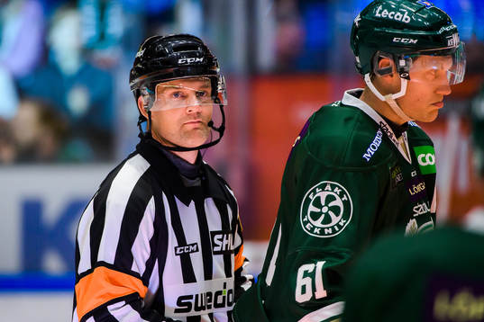 Domare Mikael Nord