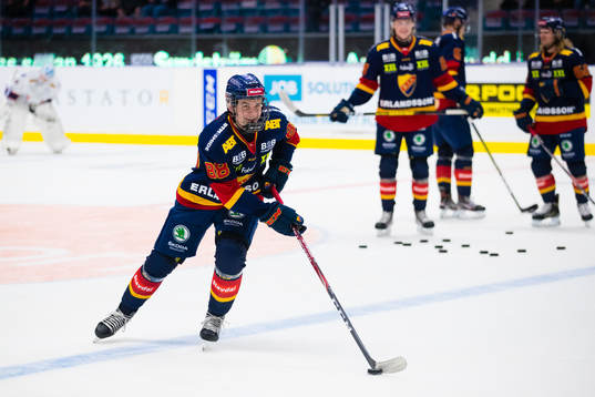 Djurgårdens Alexander Holtz