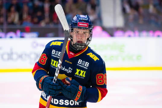Djurgårdens Alexander Holtz