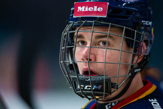 Djurgårdens Alexander Holtz