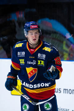 Djurgårdens Michael Haga