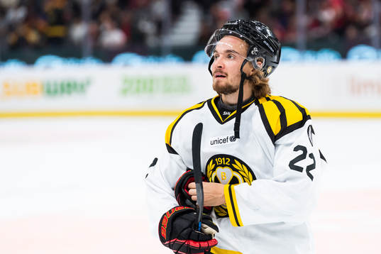 Brynäs Adam Brodecki