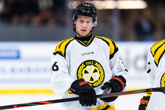 Brynäs Linus Ölund