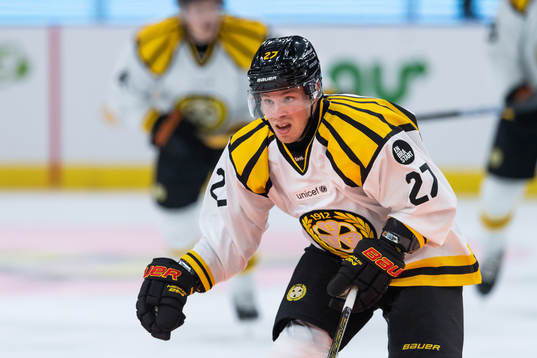 Brynäs Emil Forslund