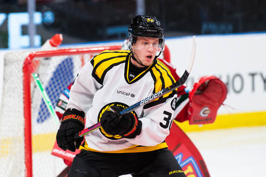 Brynäs Linus Ölund