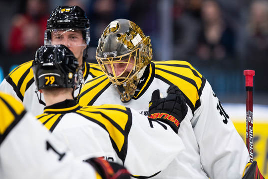 Brynäs målvakt Joacim Eriksson jublar med lagkamrater