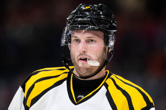 Brynäs Niclas Andersén