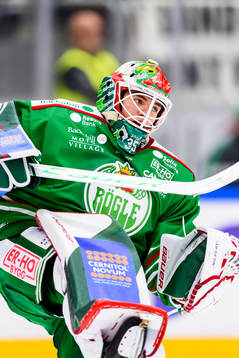 Rögles målvakt Roman Will jublar