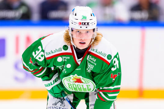 Rögles  Erik Andersson