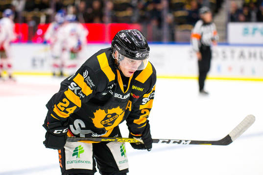 Skellefteås Andreas Wingerli deppar
