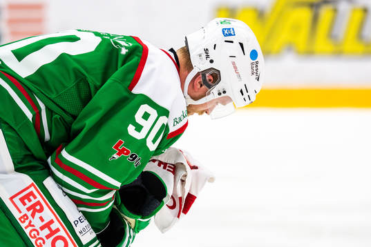 Rögles Ted Brithén