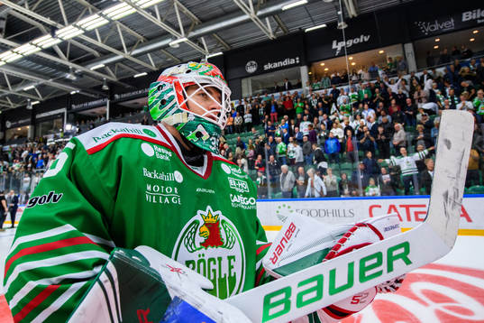 Rögles målvakt Roman Will jublar