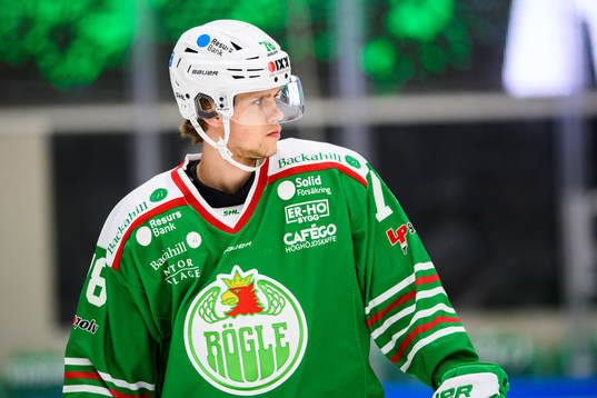 Rögles Dominik Bokk