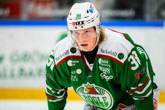 Rögles Erik Andersson