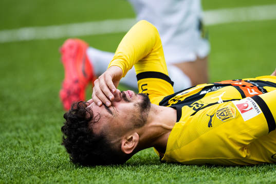 Häckens Daleho Irandust liggande
