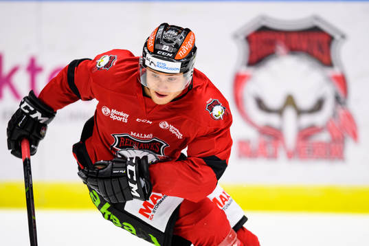 Bläddra bland fler bilder av Ishockey, SHL, Malmö Redhawks, Träning