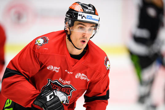 Henrik Hetta