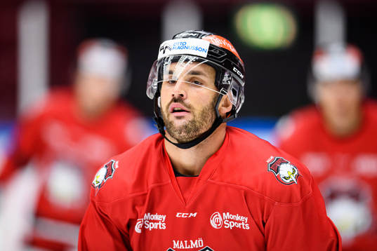 Niklas Arell