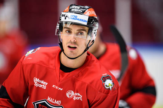 Henrik Hetta