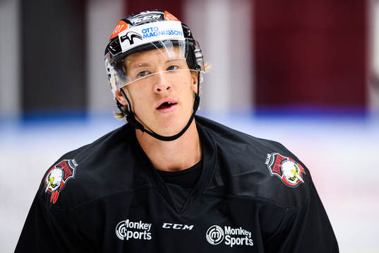 Emil Sylvegård