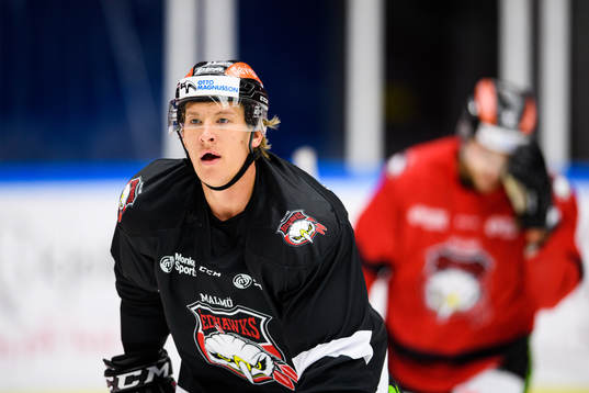 Emil Sylvegård