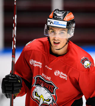 Henrik Hetta