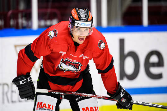 Henrik Hetta