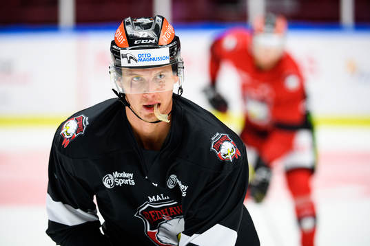 Adam Ollas Mattsson
