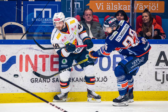 Djurgårdens Mattias Guter och Växjös Roman Horak