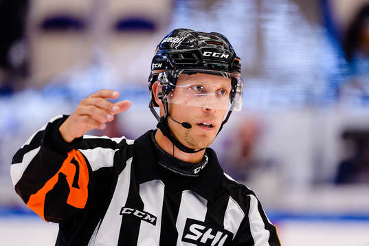 Domare Andreas Harnebring