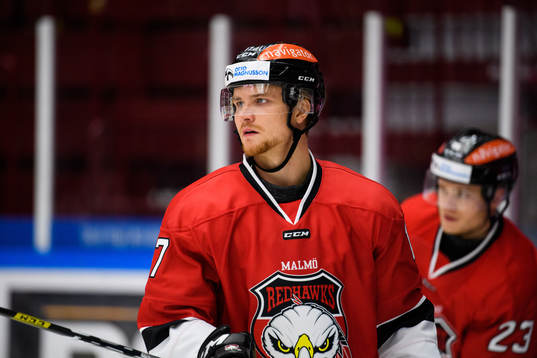 Malmö Redhawks Max Görtz